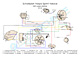 Wiring Harness Vespa Sprint Veloce Conversion